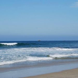 Meet your Posher, Zenayda